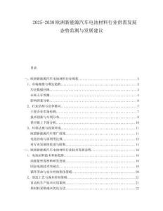2025-2030歐洲新能源汽車電池材料行業供需發展態勢監測與發展建議