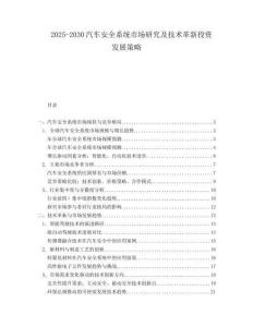 2025-2030汽車安全系統市場研究及技術革新投資發展策略