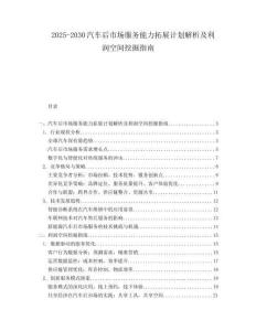 2025-2030汽車后市場(chǎng)服務(wù)能力拓展計(jì)劃解析及利潤(rùn)空間挖掘指南