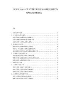 2025至2030中國卡車斜交輪胎行業市場深度研究與戰略咨詢分析報告