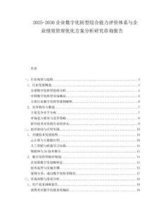 2025-2030企業數字化轉型綜合能力評價體系與企業績效管理優化方案分析研究咨詢報告