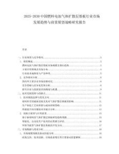 2025-2030中國燃料電池氣體擴散層基板行業市場發展趨勢與前景展望戰略研究報告