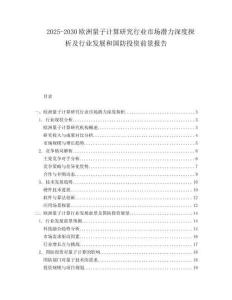 2025-2030歐洲量子計(jì)算研究行業(yè)市場(chǎng)潛力深度探析及行業(yè)發(fā)展和國(guó)防投資前景報(bào)告