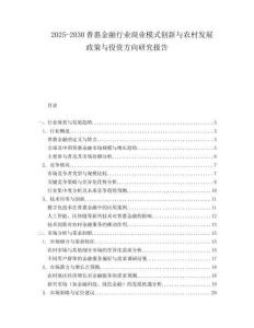 2025-2030普惠金融行業(yè)商業(yè)模式創(chuàng)新與農(nóng)村發(fā)展政策與投資方向研究報告