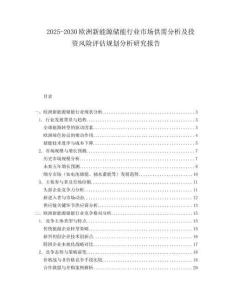 2025-2030歐洲新能源儲能行業市場供需分析及投資風險評估規劃分析研究報告