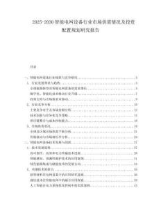 2025-2030智能電網設備行業市場供需情況及投資配置規劃研究報告