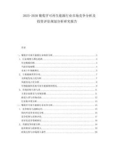 2025-2030葡萄牙可再生能源行業市場競爭分析及投資評估規劃分析研究報告