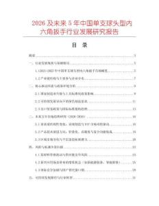 2026及未来5年中国单支球头型内六角扳手行业发展研究报告