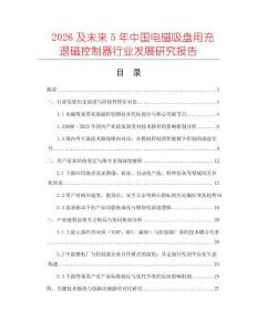 2026及未來5年中國電磁吸盤用充退磁控制器行業發展研究報告