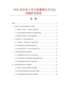2026及未來5年中國墨黑石子行業發展研究報告