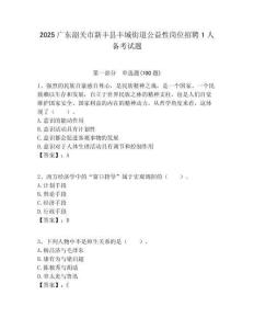 2025广东韶关市新丰县丰城街道公益性岗位招聘1人备考试题附答案解析