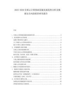 2025-2030全球云計算基礎設施發(fā)展趨勢分析及數(shù)據(jù)安全風險把控研究報告