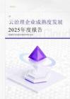 云治理企業成熟度發展2025年度報告