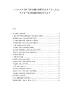 2025-2030圣多美和普林西比植樹(shù)造林農(nóng)業(yè)氣候改善分析產(chǎn)業(yè)投資轉(zhuǎn)型規(guī)劃研究報(bào)告