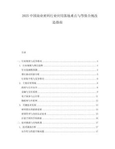 2025中國商業(yè)密碼行業(yè)應(yīng)用落地難點(diǎn)與等保合規(guī)改造指南