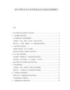 2025網(wǎng)絡(luò)安全行業(yè)供需狀況及市場(chǎng)前景預(yù)測(cè)報(bào)告