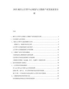 2025城市云計算中心規(guī)劃與大數(shù)據(jù)產(chǎn)業(yè)發(fā)展前景分析