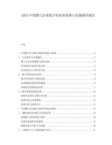 2025中國燃氣企業數字化轉型案例與實施路徑報告