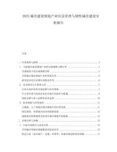 2025城市建设规划产业应急管理与韧性城市建设分析报告