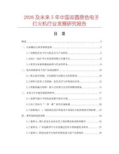 2026及未來5年中國雙圓原色電子打火機行業發展研究報告