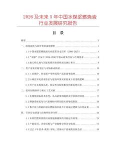 2026及未來(lái)5年中國(guó)水煤漿燃燒液行業(yè)發(fā)展研究報(bào)告