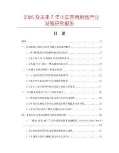 2026及未來5年中國四用胎匙行業發展研究報告