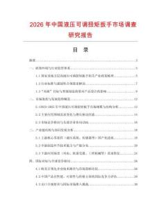 2026年中國液壓可調扭矩扳手市場調查研究報告