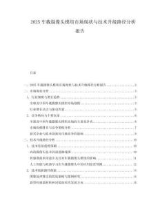 2025車載攝像頭模組市場(chǎng)現(xiàn)狀與技術(shù)升級(jí)路徑分析報(bào)告