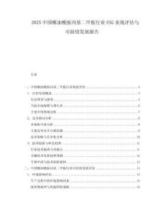 2025中国椰油酰胺丙基二甲胺行业ESG表现评估与可持续发展报告