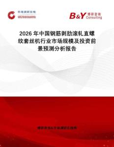 2026年中國鋼筋剝肋滾軋直螺紋套絲機行業市場規模及投資前景預測分析報告