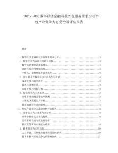 2025-2030數(shù)字經(jīng)濟金融科技外包服務(wù)需求分析外包產(chǎn)業(yè)競爭力態(tài)勢分析評估報告