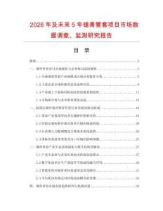 2026年及未來5年錫青管套項目市場數據調查、監測研究報告