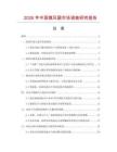 2026年中國微風(fēng)扇市場調(diào)查研究報告
