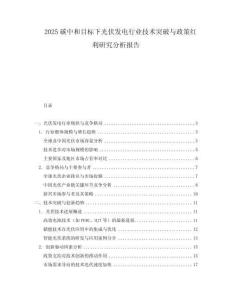 2025碳中和目標(biāo)下光伏發(fā)電行業(yè)技術(shù)突破與政策紅利研究分析報告