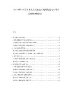 2025碳中和背景下光伏膠膜技術(shù)發(fā)展趨勢與市場前景預(yù)測分析報告