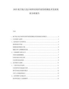 2025航空航天復合材料結構件損傷檢測技術發展現狀分析報告