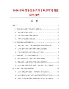 2026年中國承壓臥式熱水鍋爐市場調查研究報告