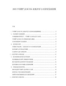 2025中國(guó)燃?xì)馄髽I(yè)ESG表現(xiàn)評(píng)估與可持續(xù)發(fā)展指數(shù)