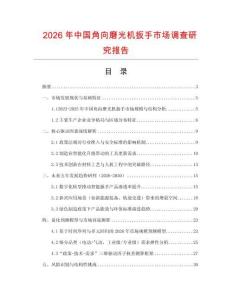 2026年中國角向磨光機扳手市場調查研究報告