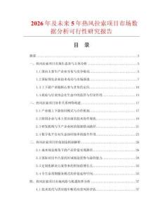 2026年及未來5年熱風拉索項目市場數據分析可行性研究報告