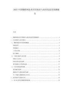 2025中國(guó)物聯(lián)網(wǎng)技術(shù)應(yīng)用場(chǎng)景與商業(yè)化前景預(yù)測(cè)報(bào)告