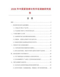 2026年中國緊急修補劑市場調查研究報告