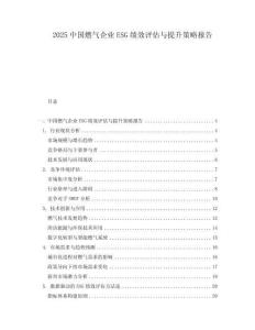 2025中國(guó)燃?xì)馄髽I(yè)ESG績(jī)效評(píng)估與提升策略報(bào)告