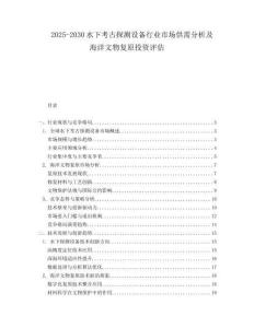 2025-2030水下考古探測設備行業市場供需分析及海洋文物復原投資評估