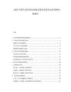 2025中國共享經濟商業模式演變及資本運作策略分析報告