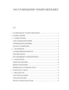 2025汽車線控底盤系統產業化進程與配套需求報告