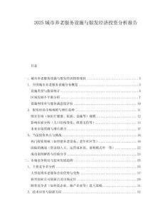 2025城市養老服務設施與銀發經濟投資分析報告