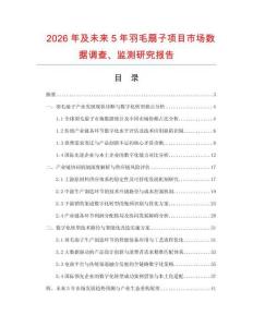 2026年及未來5年羽毛扇子項目市場數(shù)據(jù)調查、監(jiān)測研究報告