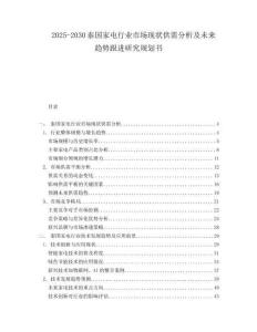 2025-2030泰國家電行業市場現狀供需分析及未來趨勢跟進研究規劃書