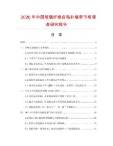 2026年中國玻璃纖維自粘補墻帶市場調查研究報告